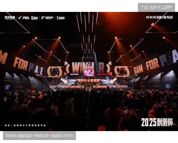 战队成员担任电竞博主推动品牌多元传播，电竞战队wr